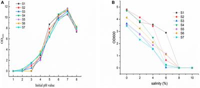 Bacterial diversity of stingless bee honey in Yunnan, China: isolation and genome sequencing of a novel acid-resistant Lactobacillus pentosus (SYBC-MI) with probiotic and L. tryptophan producing potential via millet fermentation